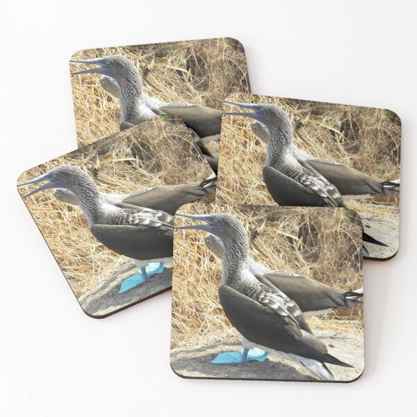 Item preview, Blue footed boobies designed and sold by Javier Narváez Solarte.