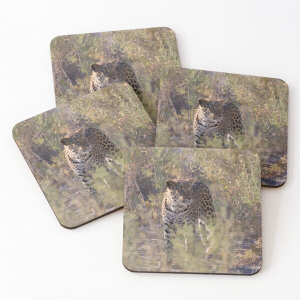 Item preview, African Leopard (Panthera Pardus Pardus) designed and sold by Yair Karelic.