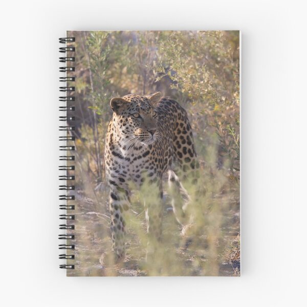 Item preview, African Leopard (Panthera Pardus Pardus) designed and sold by Yair Karelic.