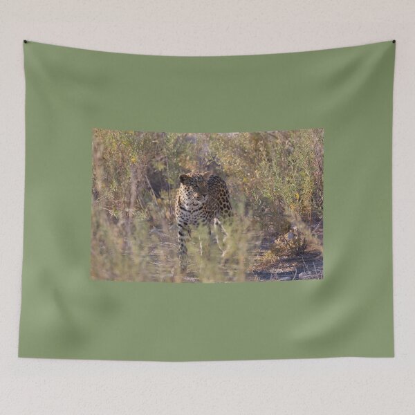 Item preview, African Leopard (Panthera Pardus Pardus) designed and sold by Yair Karelic.