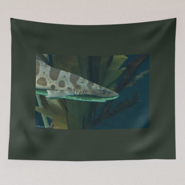 Item preview, Leopard Shark designed and sold by Wayne Thomson.