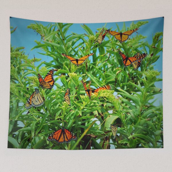 Artikelvorschau, Monarch Migration entworfen und verkauft von DonnaM.