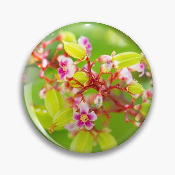 Item preview, Bright Starfruit Flowers designed and sold by Caitlin Chock.