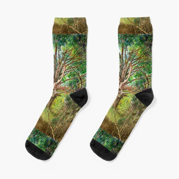 Wisdom Socks