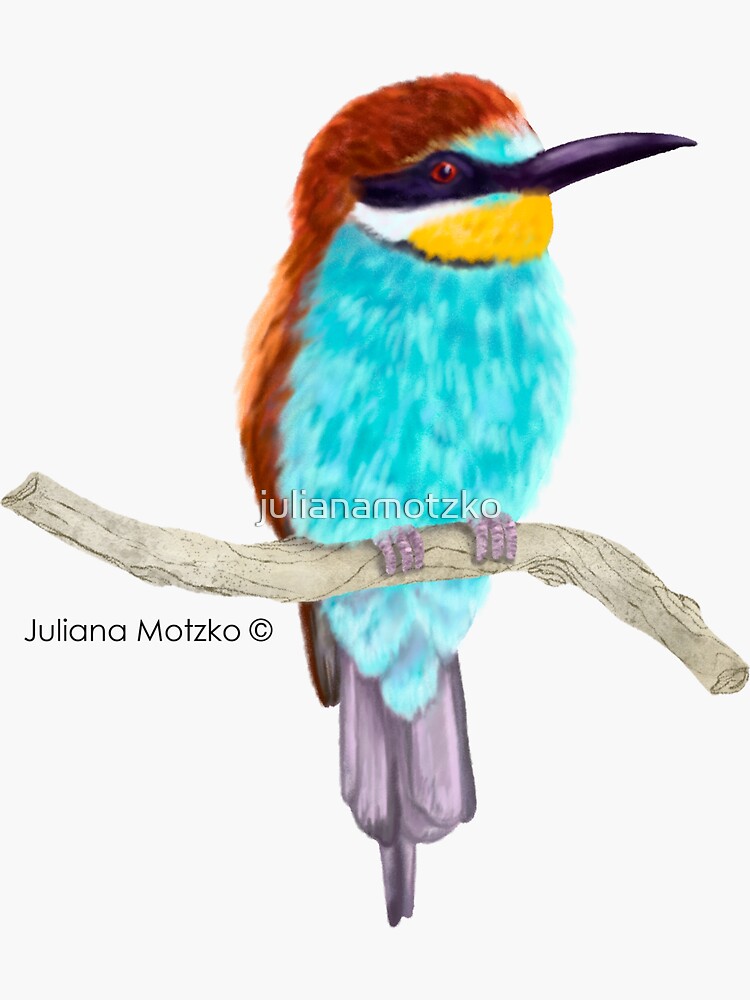 Bee Eater Bird by julianamotzko