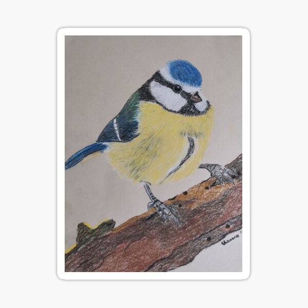 Bluetit Sticker