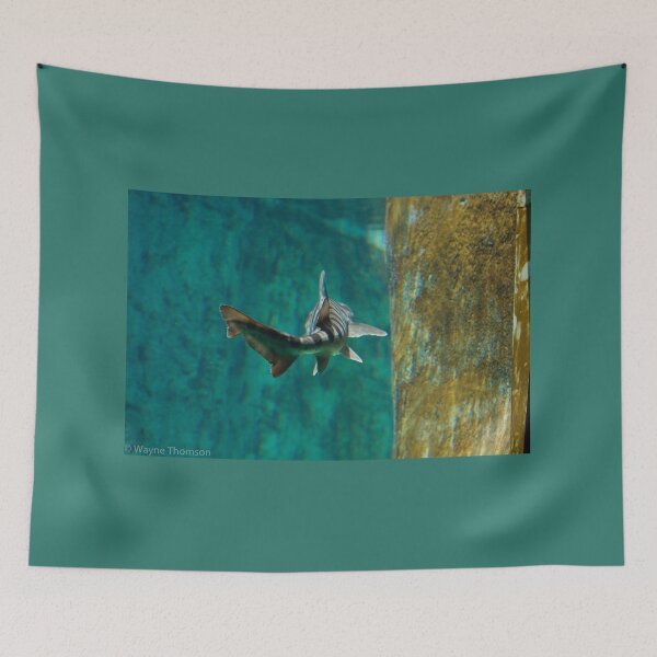 Item preview, Swimming Away designed and sold by Wayne Thomson.