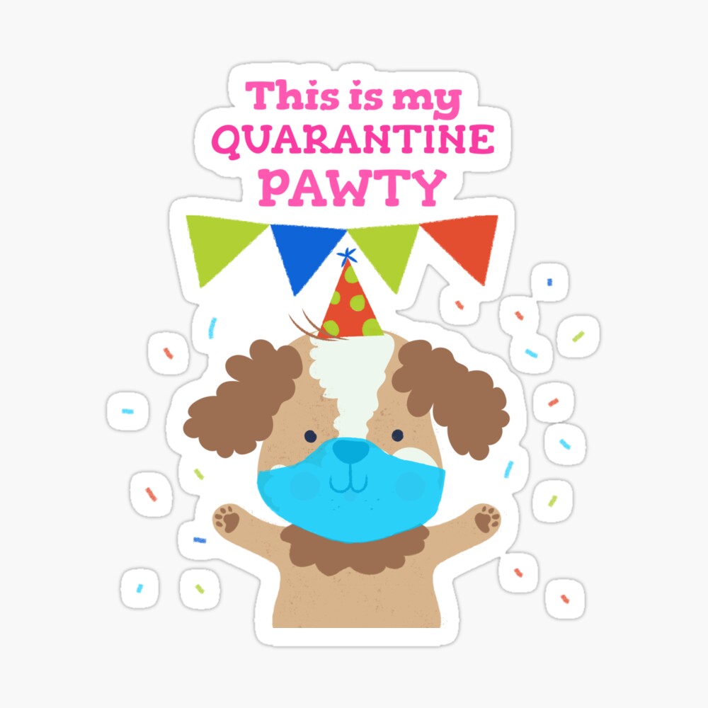 Kids quarantine birthday party 