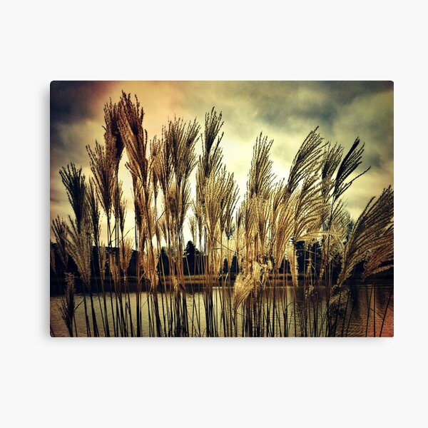 Alzette river Canvas Print