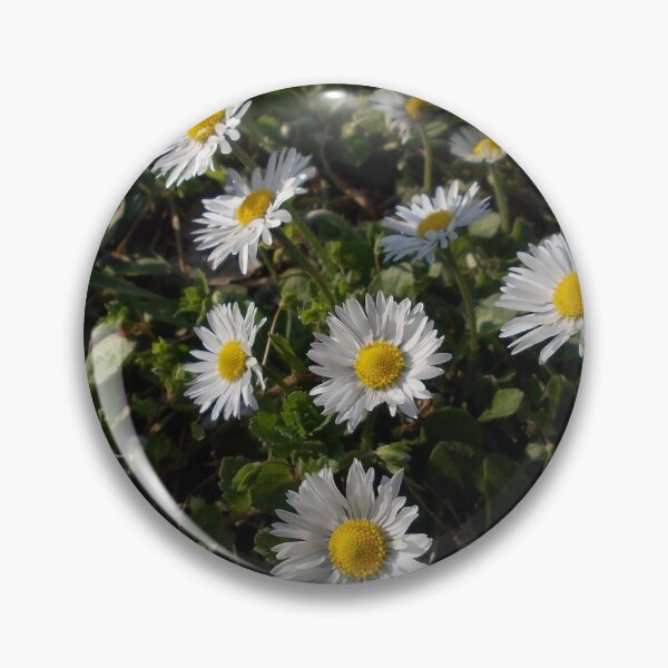 Item preview, English daisies designed and sold by demonkourai.