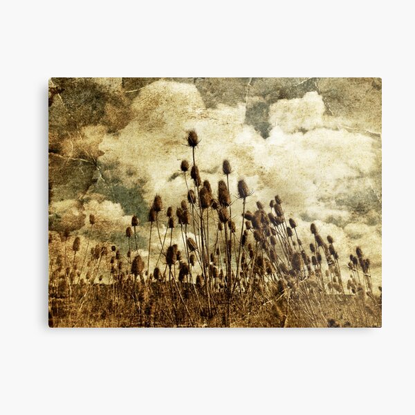 alzette river 12 Metal Print