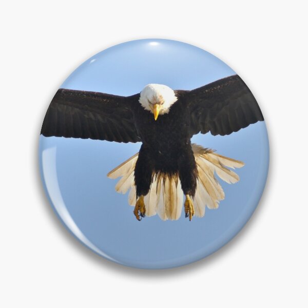 Item preview, Eagle Wingspan... designed and sold by RichImage.