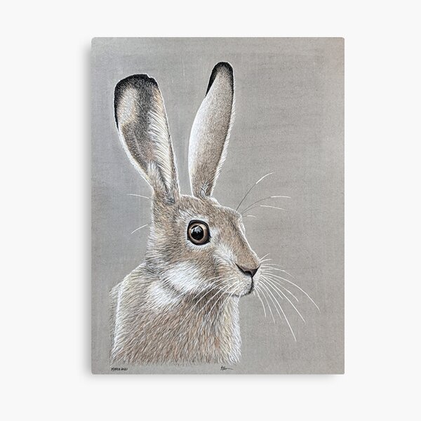 Wild Hare Canvas Print