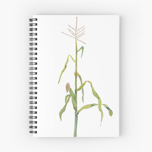 Item preview, Corn Maize Mielie Too designed and sold by gracebattiss.