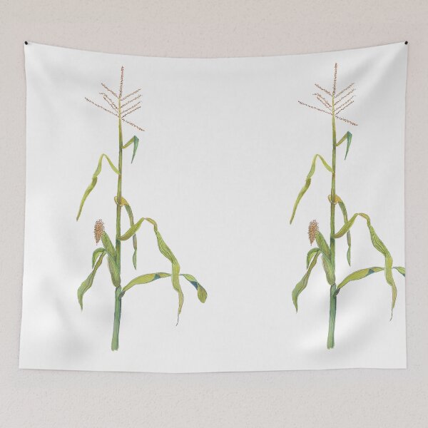 Item preview, Corn Maize Mielie Too designed and sold by gracebattiss.