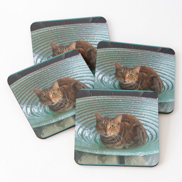 Item preview, Cat in a Bowl designed and sold by MomentofPercep.