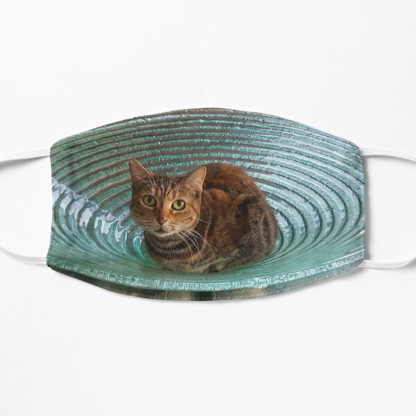 Cat in a Bowl Flat Mask