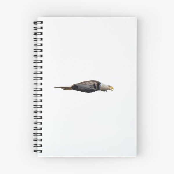 Item preview, Bald Eagle Aerodynamics designed and sold by ZaneMoffman.