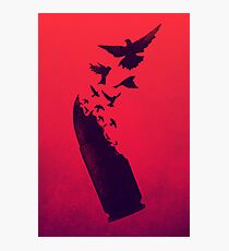 Bullet Birds Photographic Print