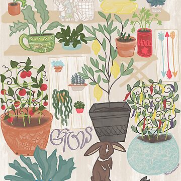 Artwork thumbnail, Peace In Plants - Indoor Garden by tinaschofield