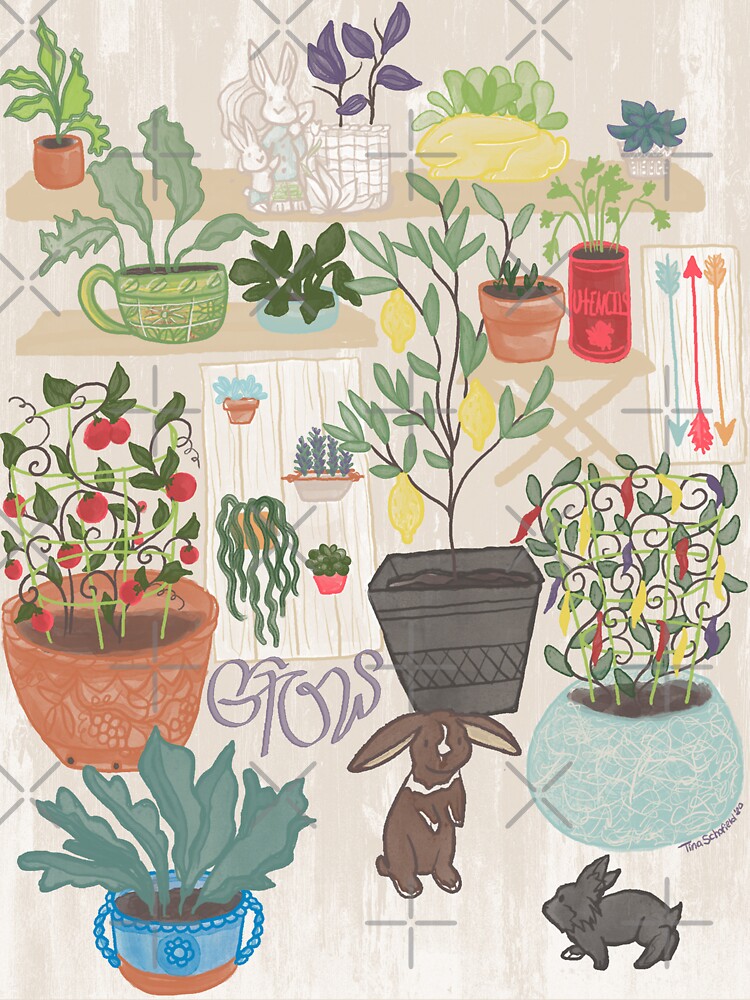 Peace In Plants - Indoor Garden by tinaschofield