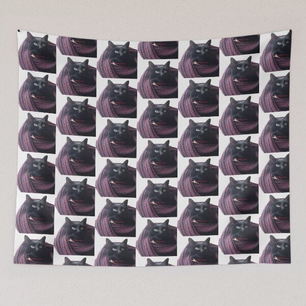 Item preview, Cold cat in scarf designed and sold by jeremydwilliams.