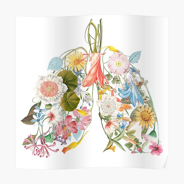 Free Free 315 Flower Lungs Svg SVG PNG EPS DXF File