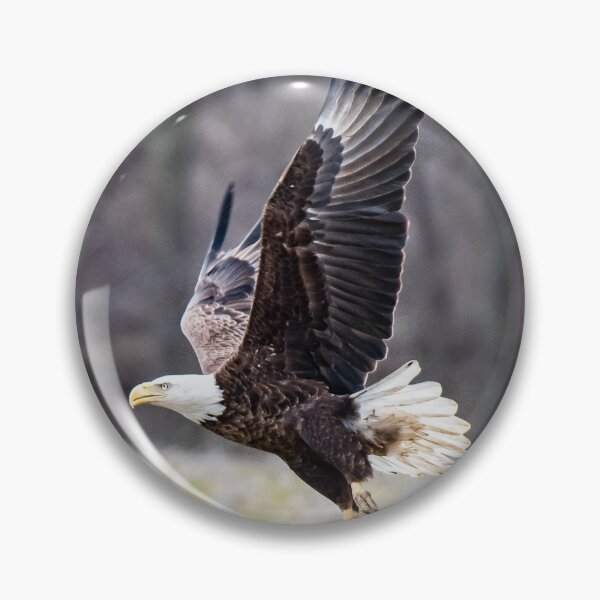 Item preview, Bald Eagle Takeoff designed and sold by ZaneMoffman.