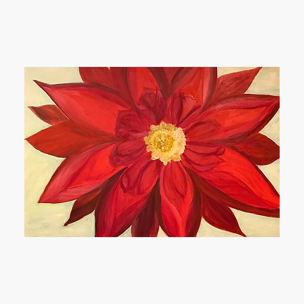 Red Dhalia - A Brightening Image Photographic Print