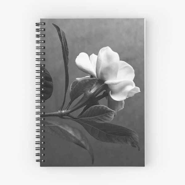 Item preview, Gardenia designed and sold by Janet Towbin.