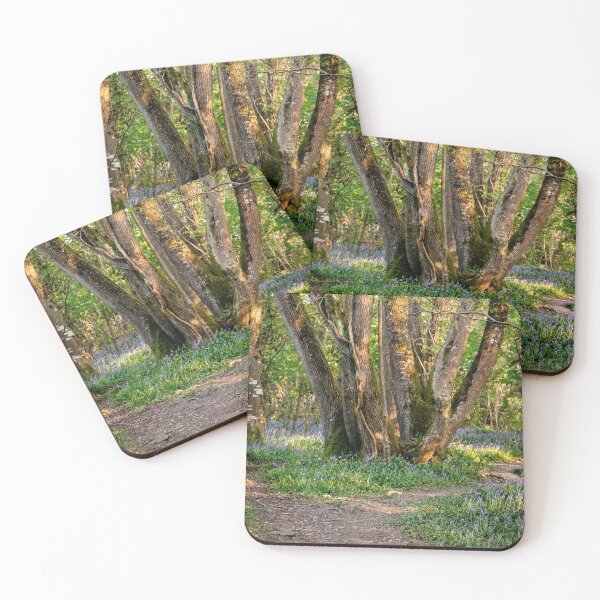 Item preview, Torrington Bluebells designed and sold by Naturally Mindful.