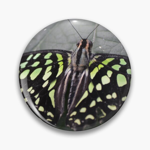 Item preview, Green spotted butterfly designed and sold by lizdomett.