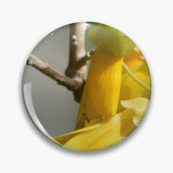 Item preview, Kowhai yellow designed and sold by lizdomett.