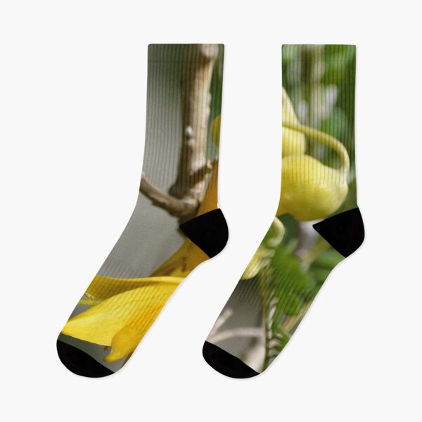 Item preview, Kowhai yellow designed and sold by lizdomett.