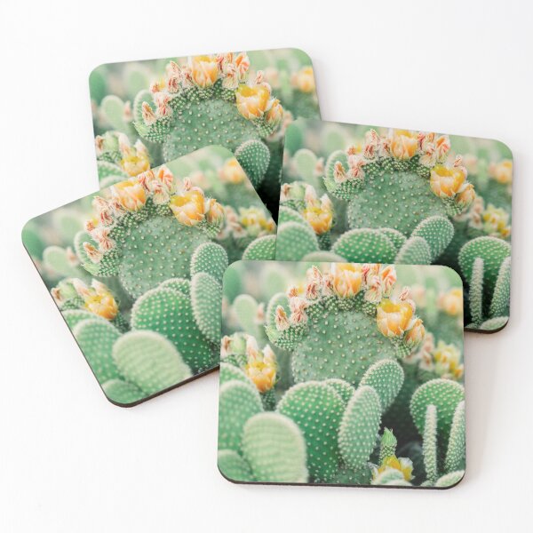 Item preview, Cactus blooming designed and sold by Silvana  Braggio Photography.