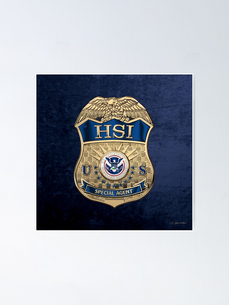 homeland security investigations