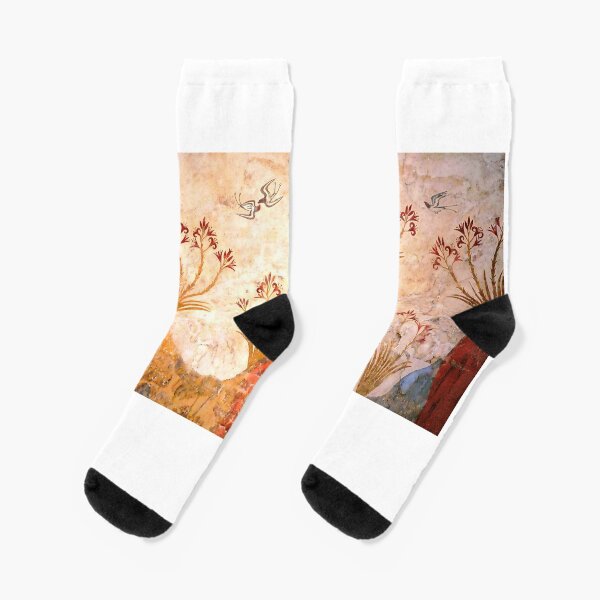 Socks