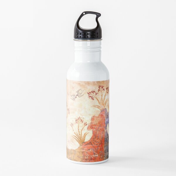 Water Bottle