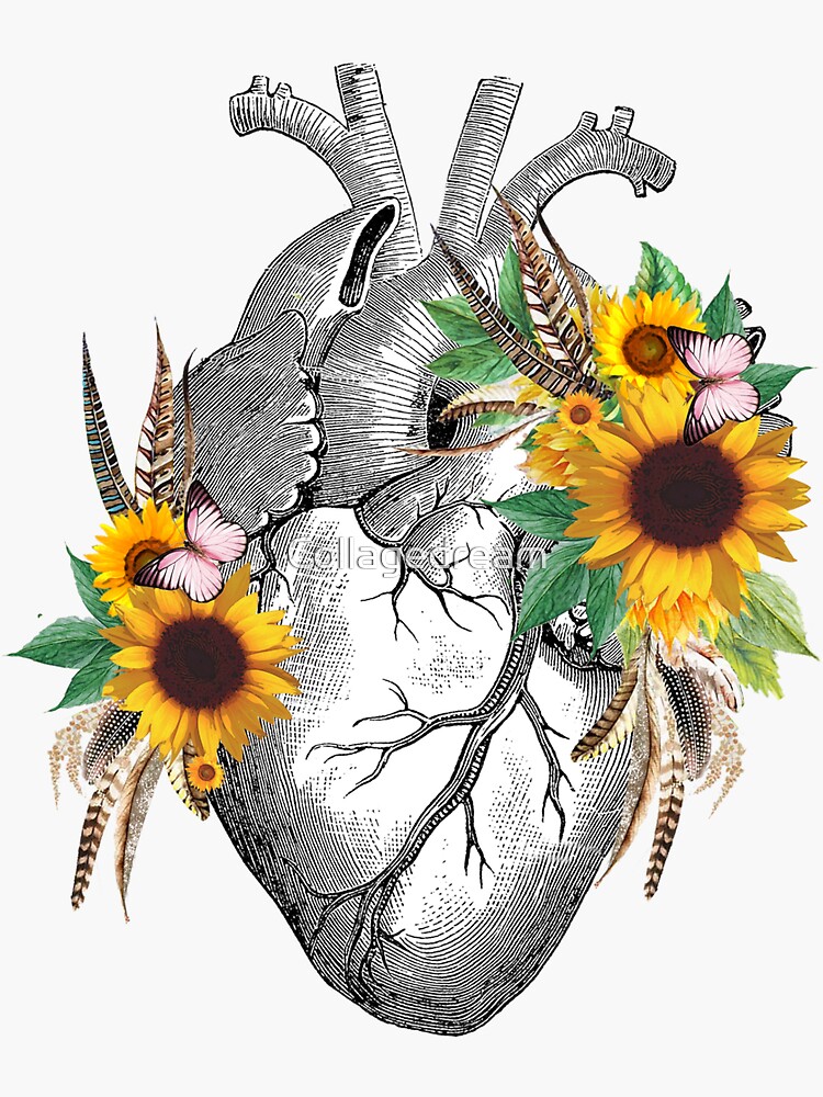 Floral Sunflowers Heart Human Anatomy Sticker For Sale By Collagedream Redbubble 7735