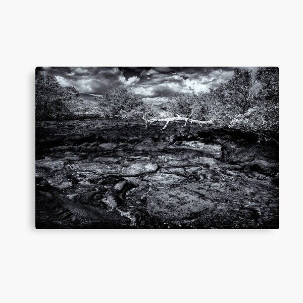 Time In Galapagos Canvas Print