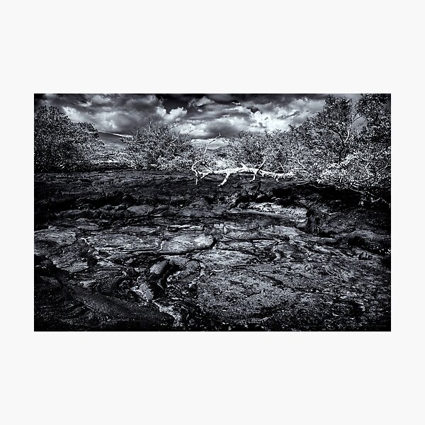 Time In Galapagos Photographic Print