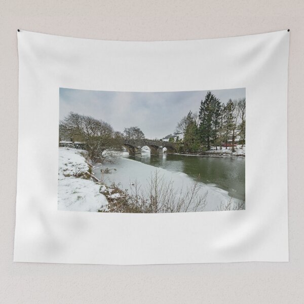 Item preview, Taddiport under ice designed and sold by Naturally Mindful.