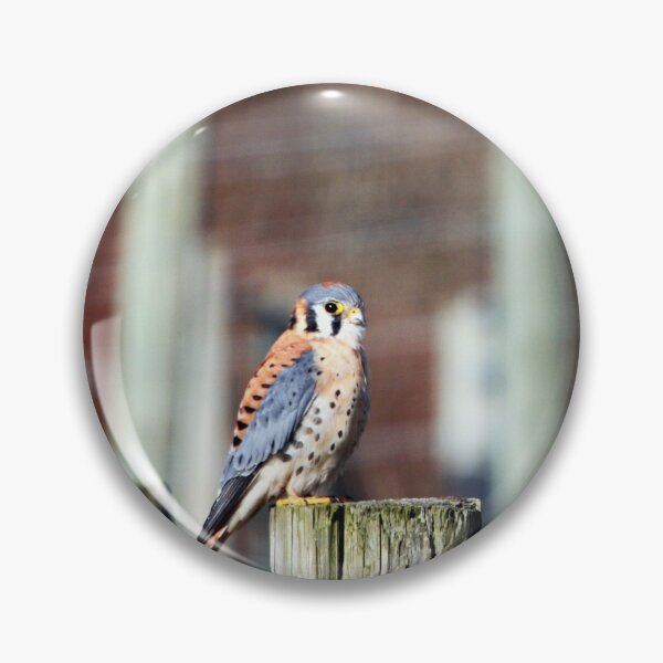Item preview, Sparrowhawk... designed and sold by RichImage.
