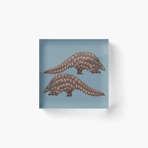 Pangolin Acrylic Block