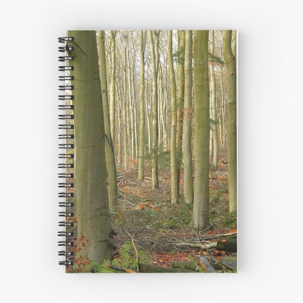 Item preview,  Autumn woodland. designed and sold by Anne Sanders.