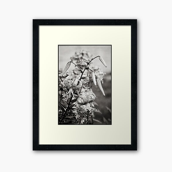 Vista previa del artículo con la obra «Tiger Lily - Mono», diseñado y vendido por Kimberley Saros.