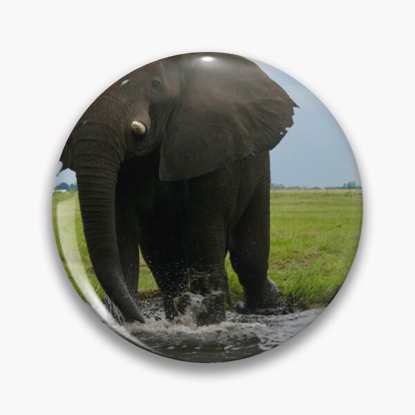 Item preview, big elephant crossing the river Chobe designed and sold by annet goetheer.