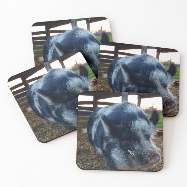 Item preview, Nigel - Pot Belly Pig designed and sold by Sonya Daniels.