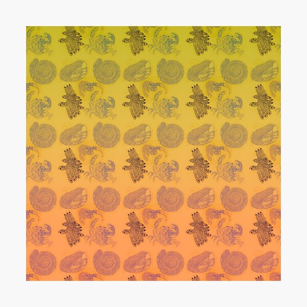 My Bottom Dwelling Sea Creature Neighbors Photographic Print