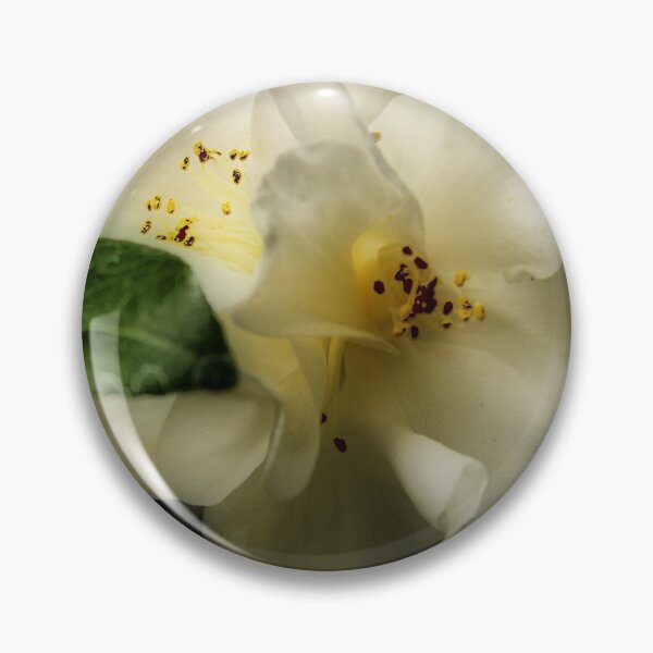 Item preview, White Camellia designed and sold by Barbara  Brown.